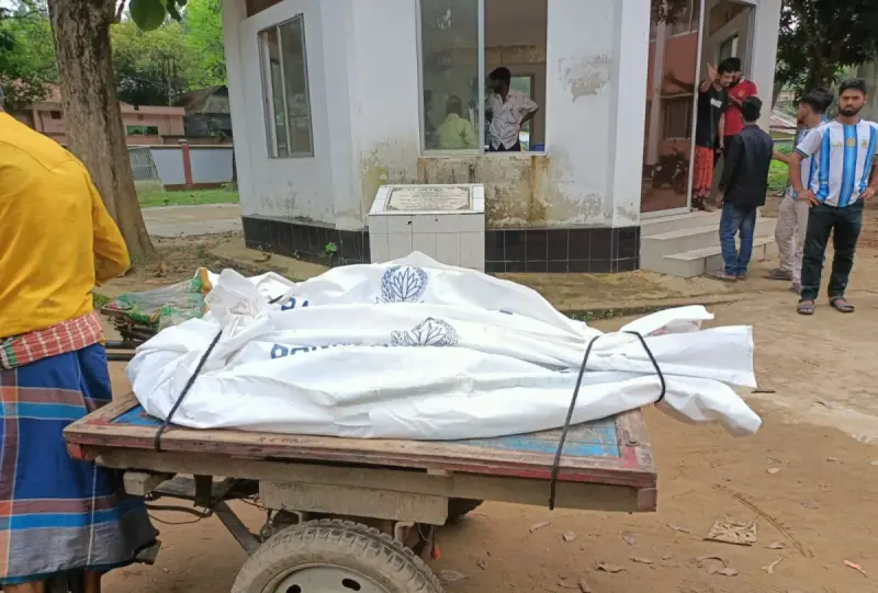 নালিতাবাড়ীতে ভয়াবহ সড়ক দুর্ঘটনা, অটোরিকশাচালকসহ নিহত ২