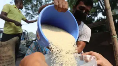 খাদ্যবান্ধব কর্মসূচির চাল বিক্রি শুরু, ৫৫ লাখ পরিবার পাবে কেজিপ্রতি ১৫ টাকায় চাল