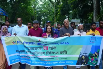 শেরপুরে বিশ্ব শিশুশ্রম প্রতিরোধ দিবস পালিত, ঝরে পড়া শিক্ষার্থীদের বিনামূল্যে পড়াশোনার ঘোষণা জেলা প্রশাসকের