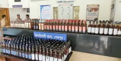ঝিনাইগাতীতে প্রায় ৬০০ বোতল ভারতীয় মাদক জব্দ