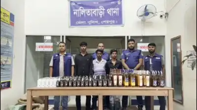 নালিতাবাড়ীতে পিকআপ ভর্তি ২৭৩ বোতল ভারতীয় মদ জব্দ, গ্রেফতার ৩
